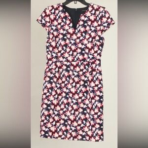 Banana Republic Women’s Dress 2 Pink Blue White Floral Sheath Stretch Lined
